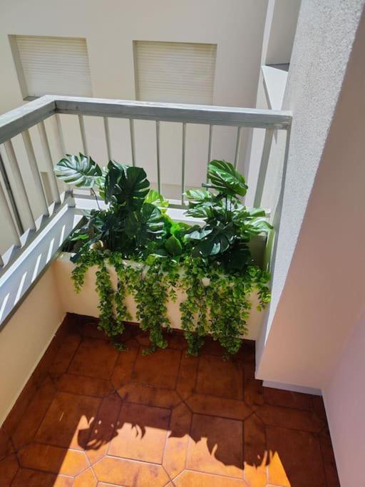 Chenlo Apartment *