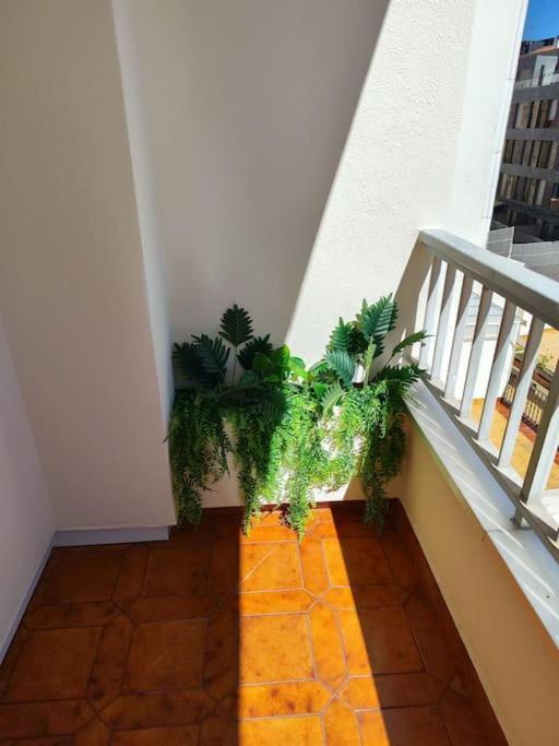 Apartamento Chenlo Sanxenxo
